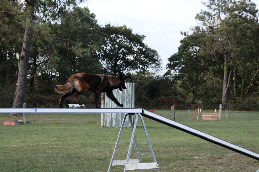 souvenirs-2014 JPG (224)