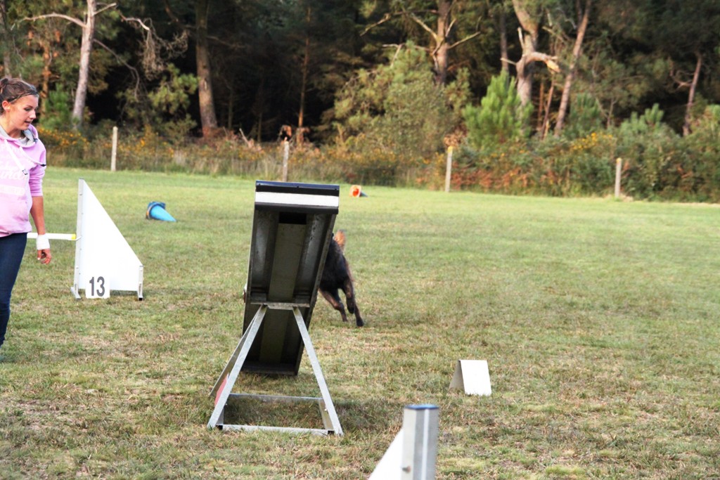 souvenirs-2014 JPG (226)