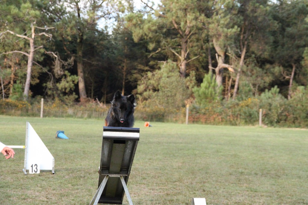 souvenirs-2014 JPG (227)