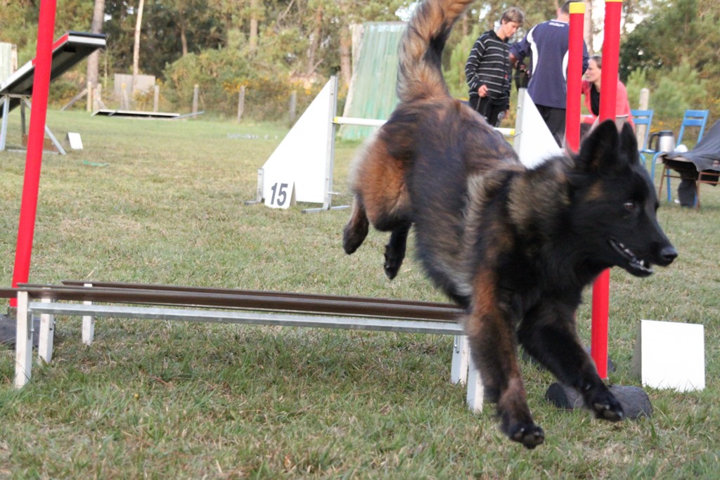 souvenirs-2014 JPG (230)