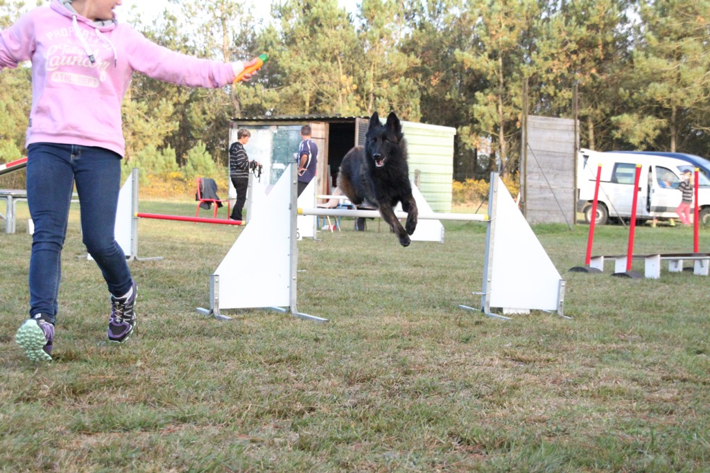 souvenirs-2014 JPG (231)