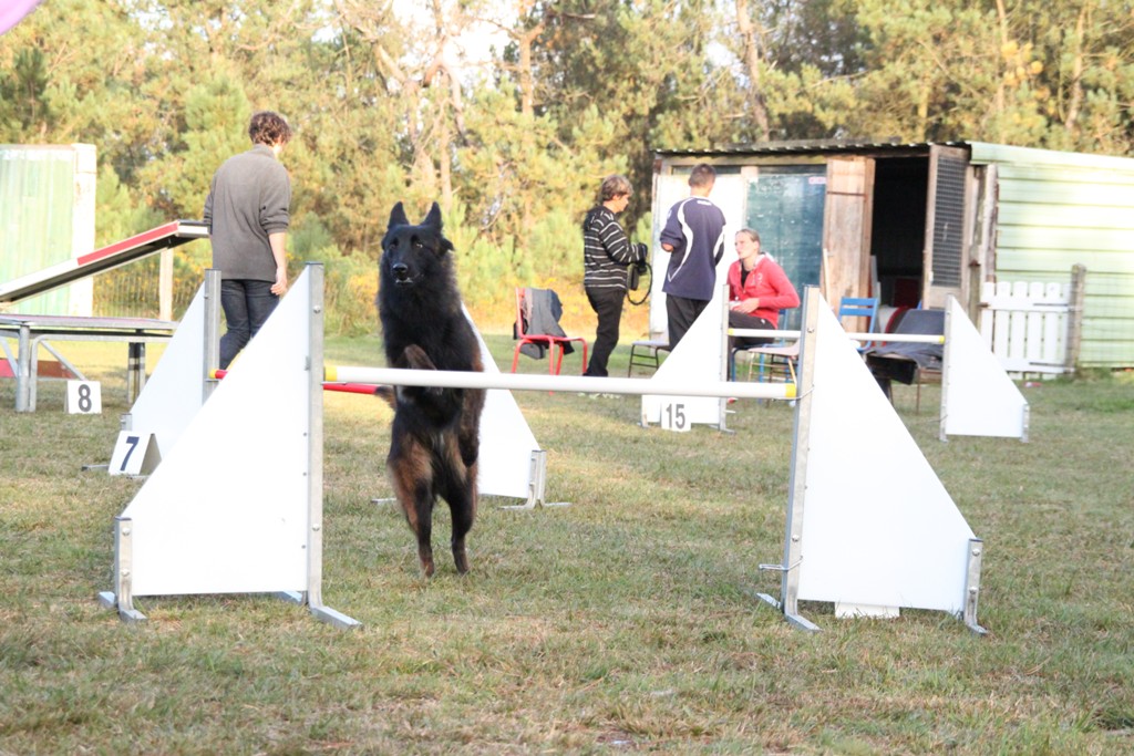 souvenirs-2014 JPG (232)