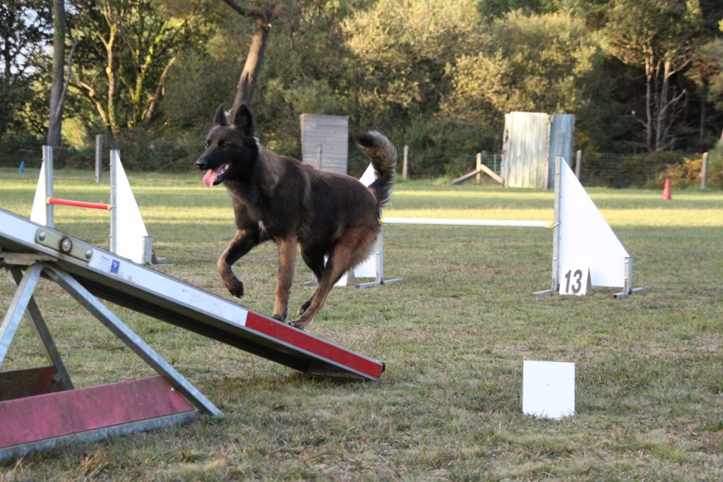 souvenirs-2014 JPG (237)