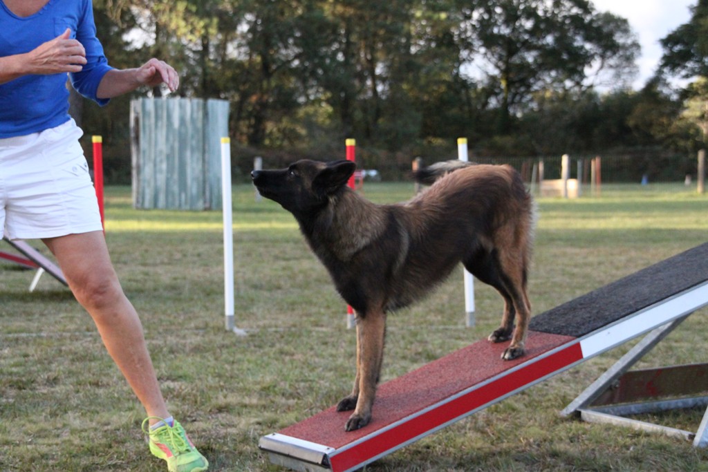 souvenirs-2014 JPG (238)