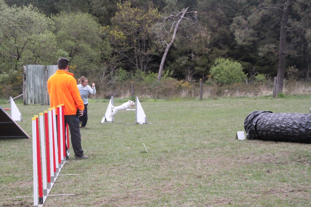 souvenirs-2014 JPG (25)