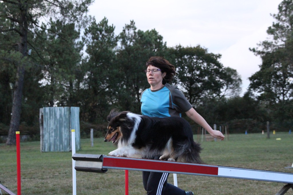 souvenirs-2014 JPG (252)