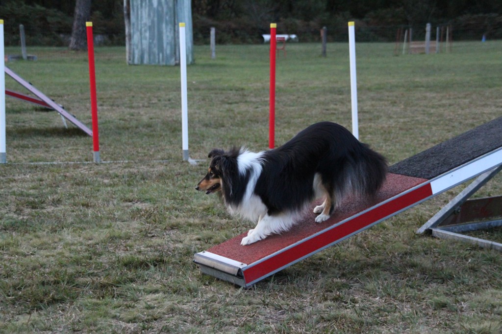 souvenirs-2014 JPG (253)