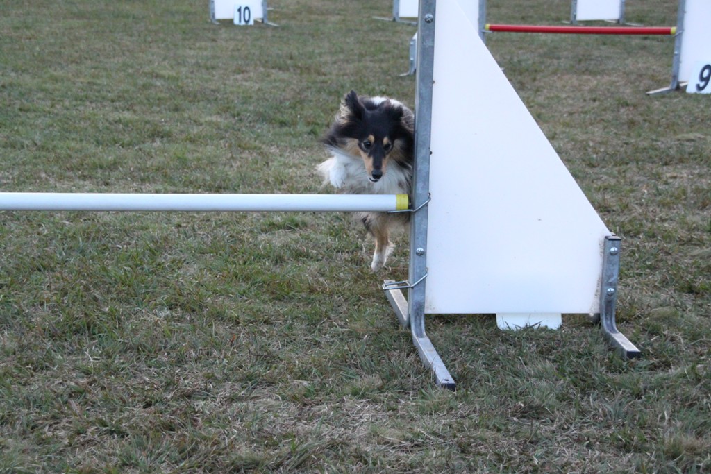 souvenirs-2014 JPG (254)