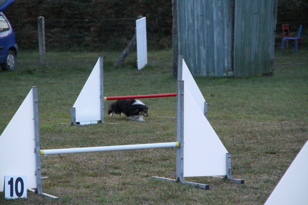 souvenirs-2014 JPG (256)