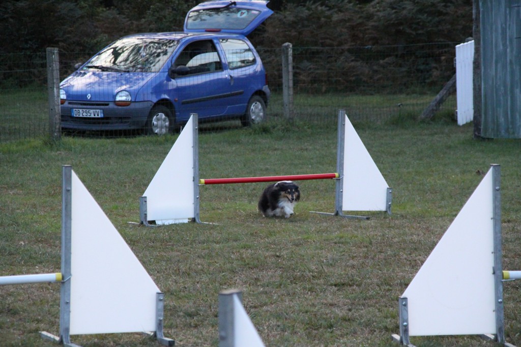 souvenirs-2014 JPG (257)