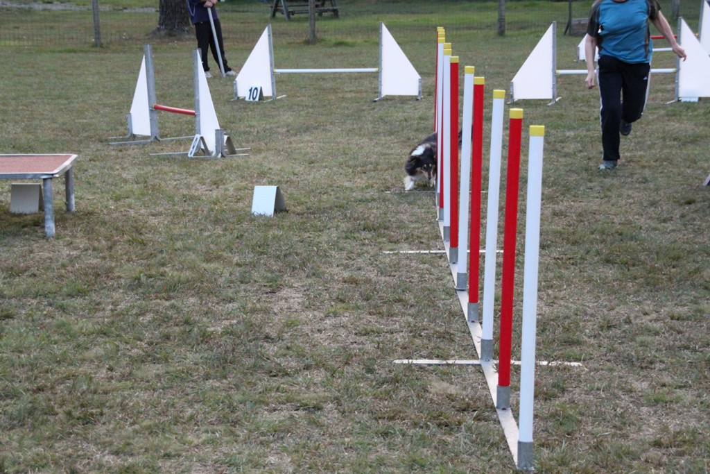 souvenirs-2014 JPG (259)