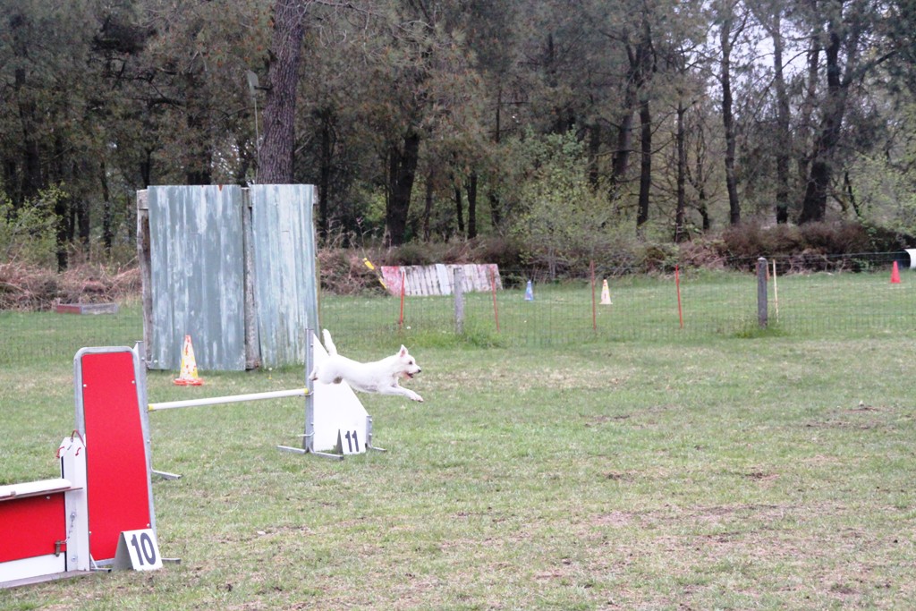 souvenirs-2014 JPG (26)