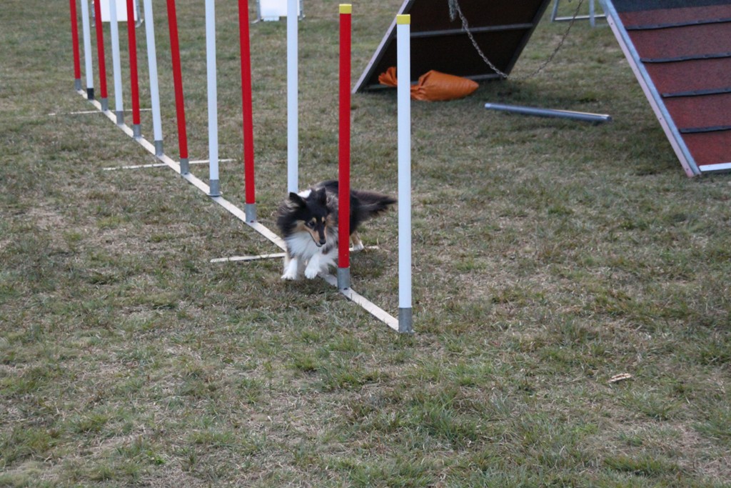 souvenirs-2014 JPG (260)