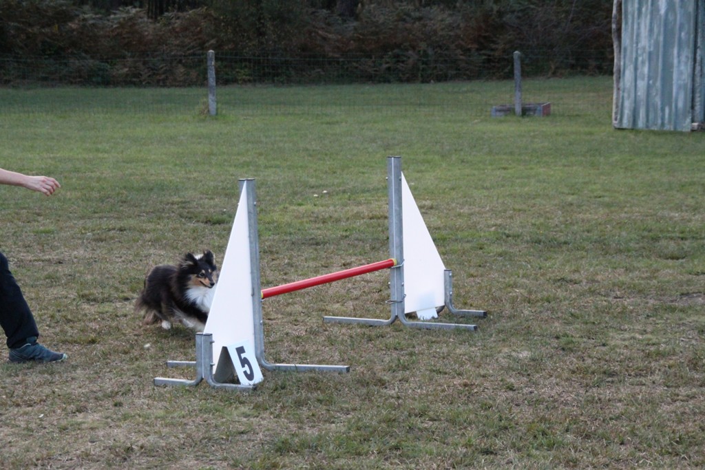 souvenirs-2014 JPG (269)