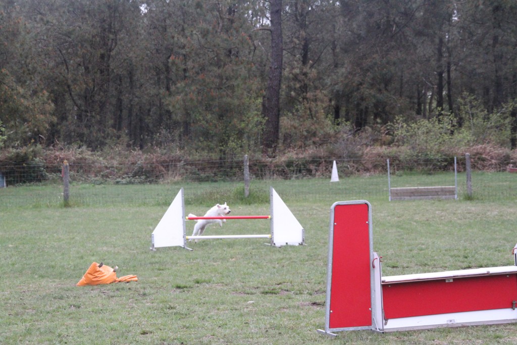 souvenirs-2014 JPG (27)