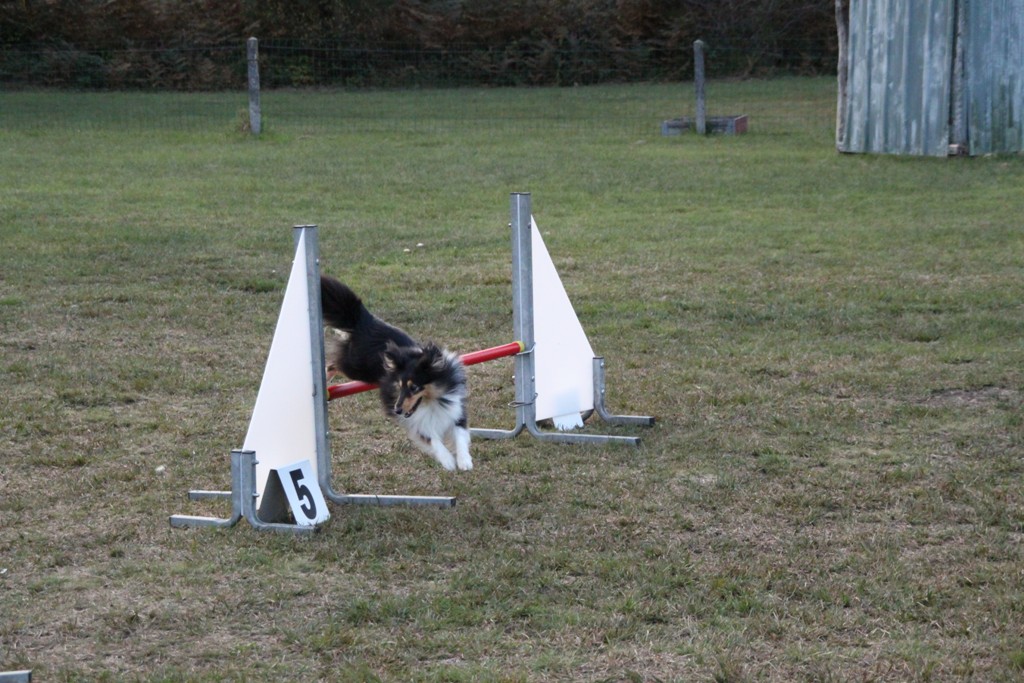 souvenirs-2014 JPG (270)