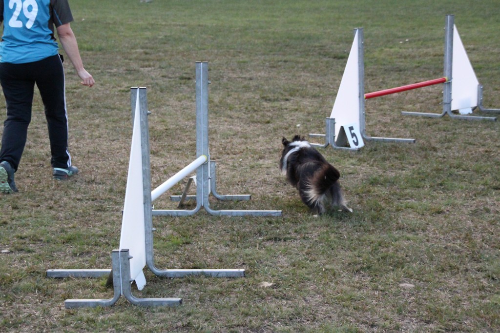 souvenirs-2014 JPG (271)