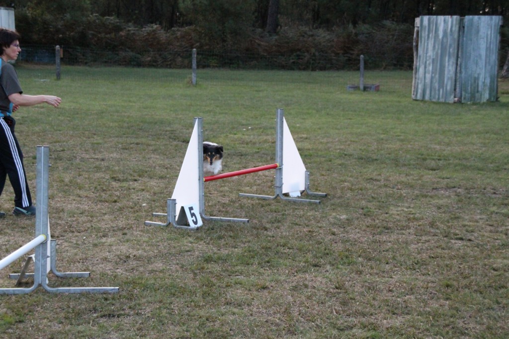 souvenirs-2014 JPG (273)