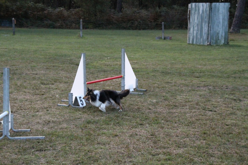 souvenirs-2014 JPG (274)