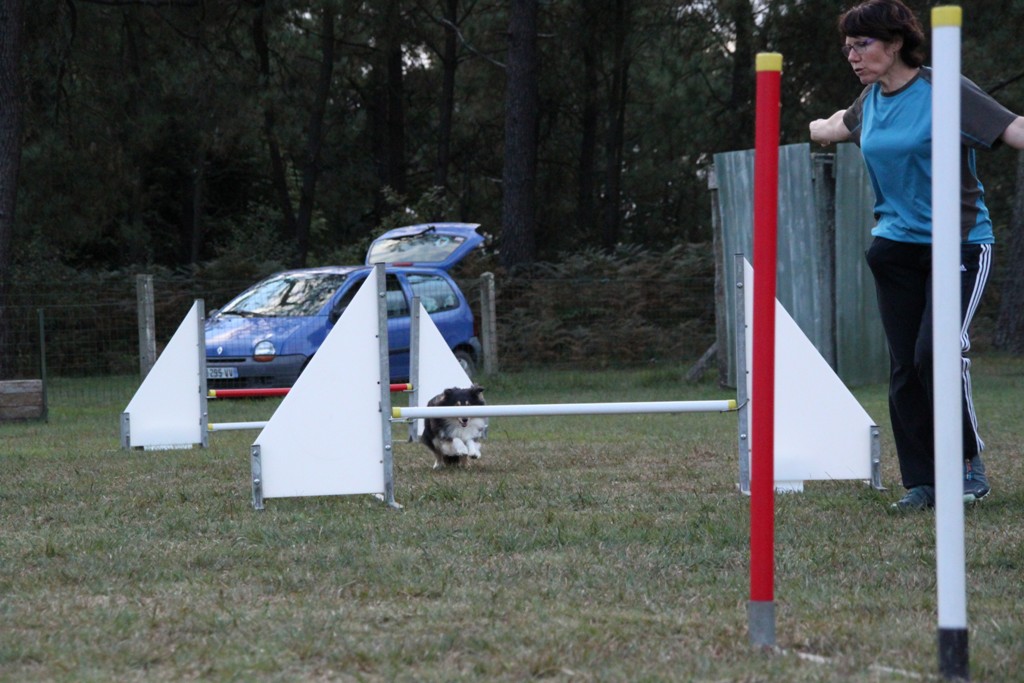 souvenirs-2014 JPG (286)