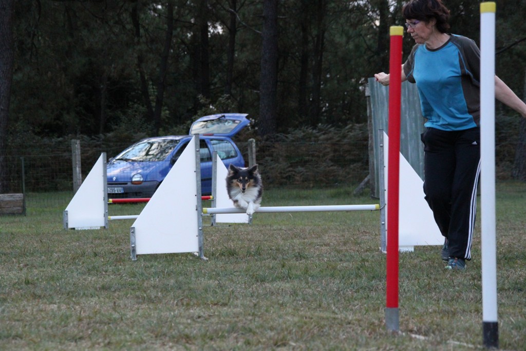 souvenirs-2014 JPG (287)