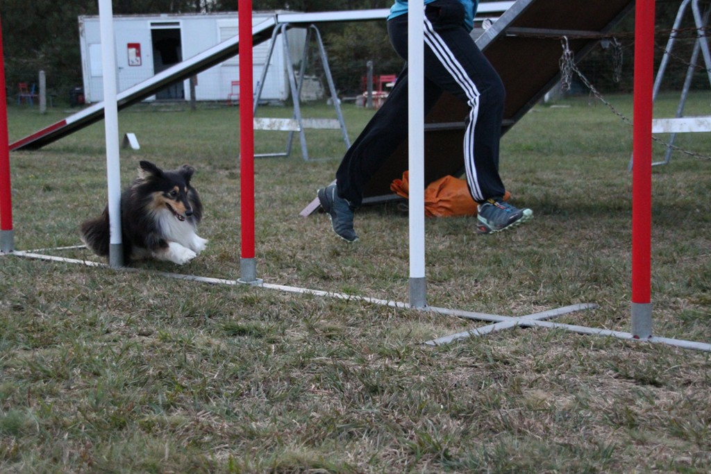 souvenirs-2014 JPG (288)