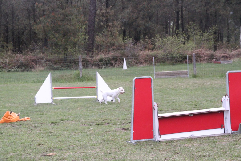 souvenirs-2014 JPG (29)