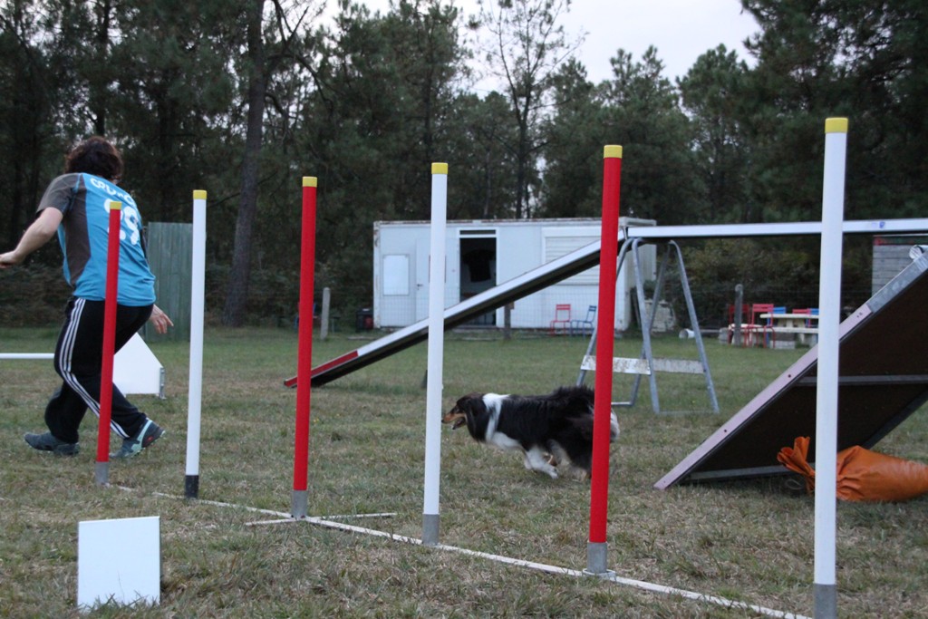 souvenirs-2014 JPG (290)