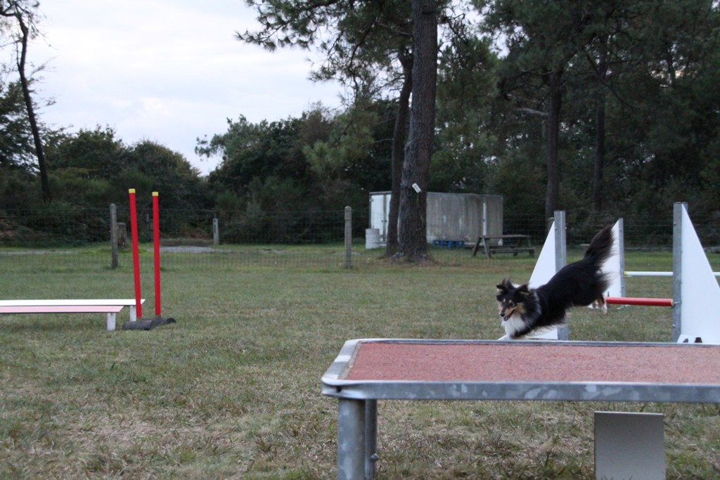 souvenirs-2014 JPG (291)