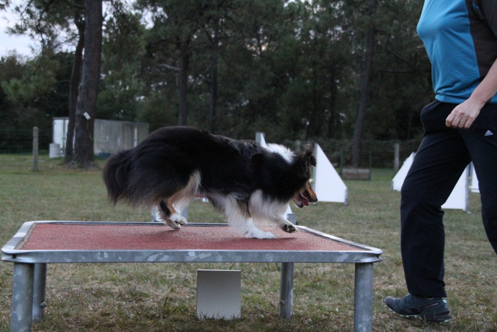 souvenirs-2014 JPG (292)