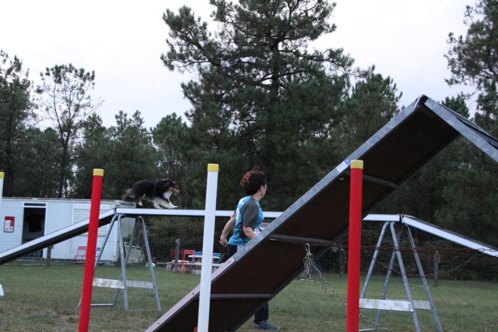 souvenirs-2014 JPG (295)