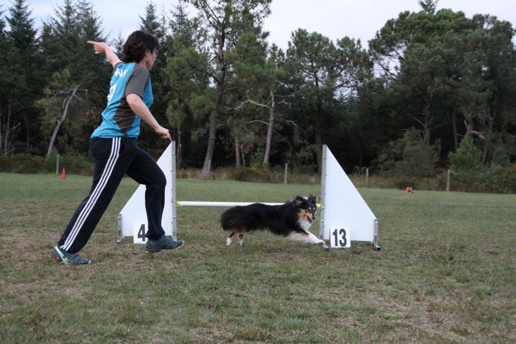 souvenirs-2014 JPG (298)