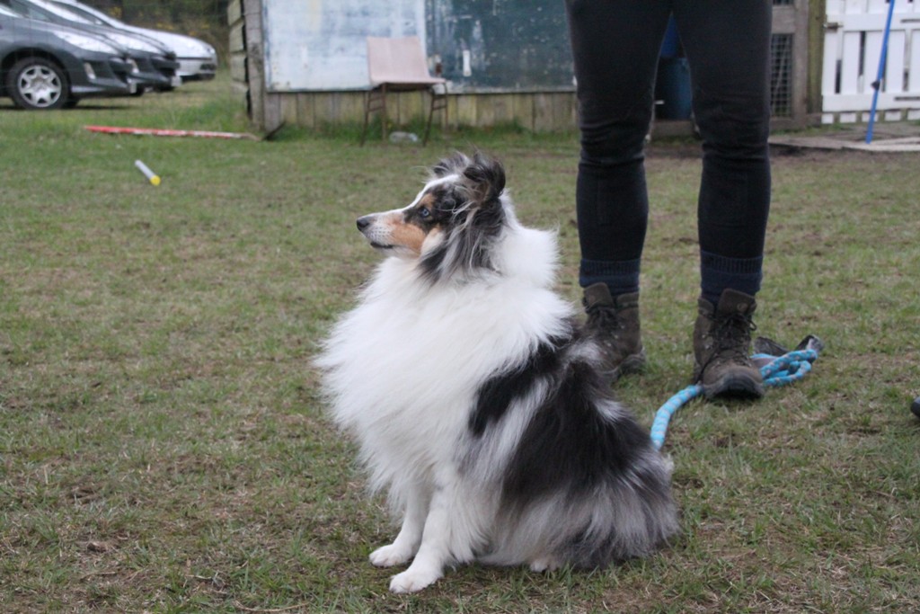 souvenirs-2014 JPG (3)