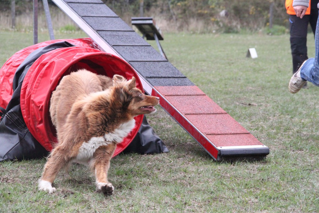 souvenirs-2014 JPG (30)