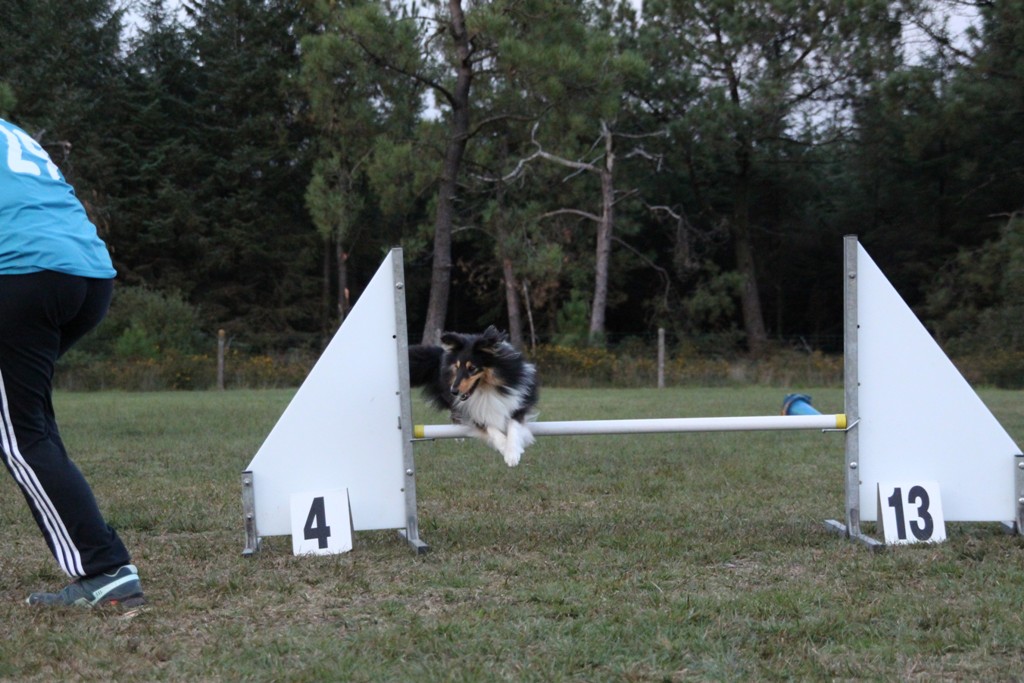 souvenirs-2014 JPG (300)