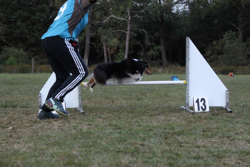 souvenirs-2014 JPG (301)