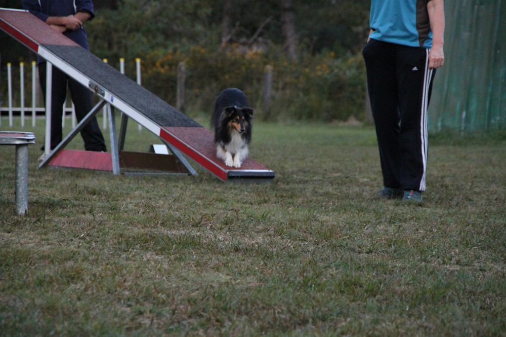 souvenirs-2014 JPG (302)