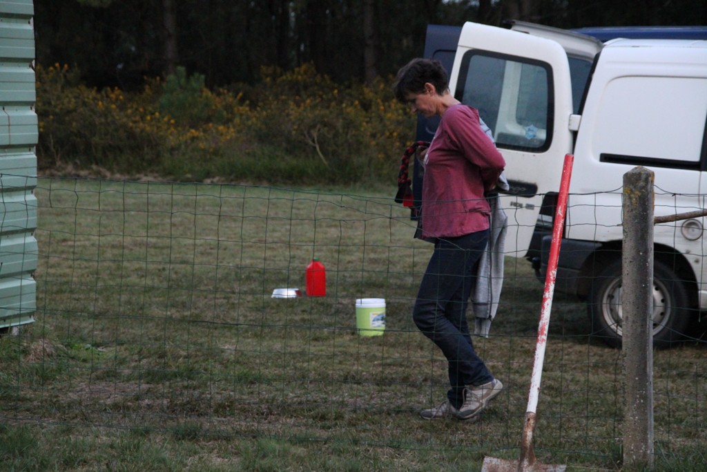 souvenirs-2014 JPG (310)