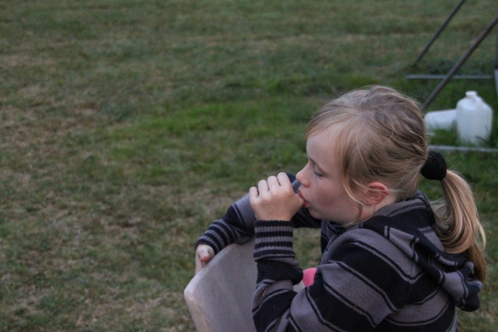 souvenirs-2014 JPG (311)