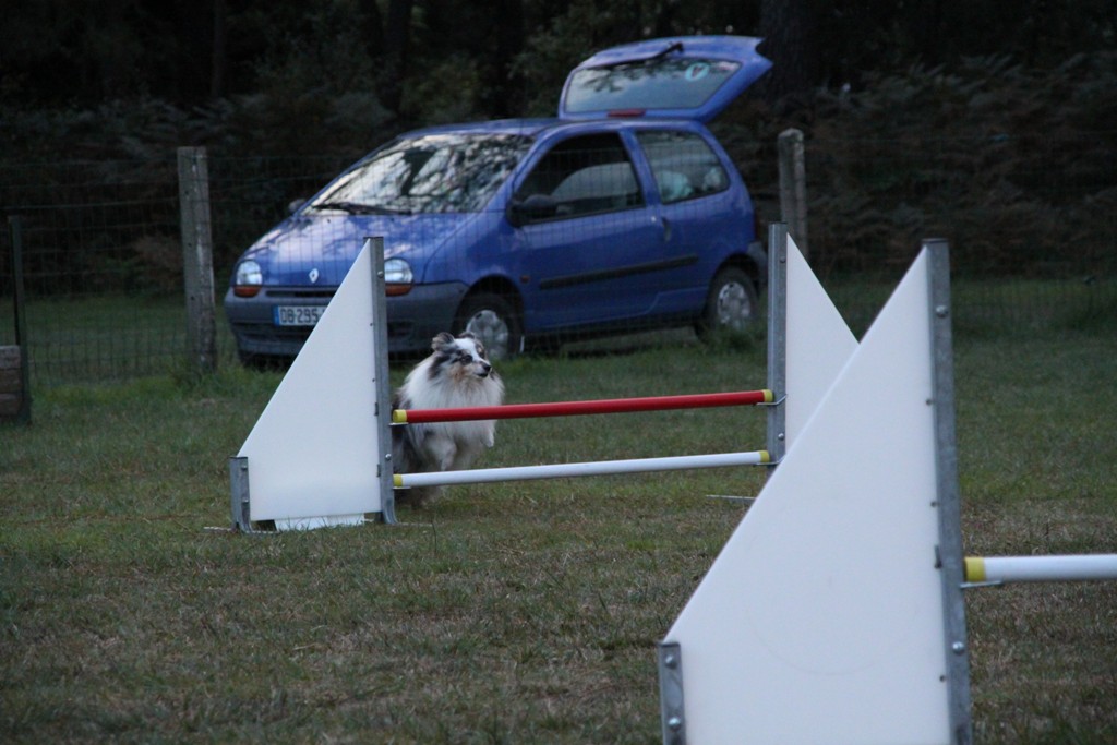 souvenirs-2014 JPG (313)