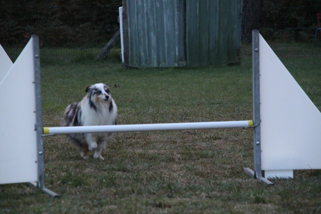 souvenirs-2014 JPG (314)