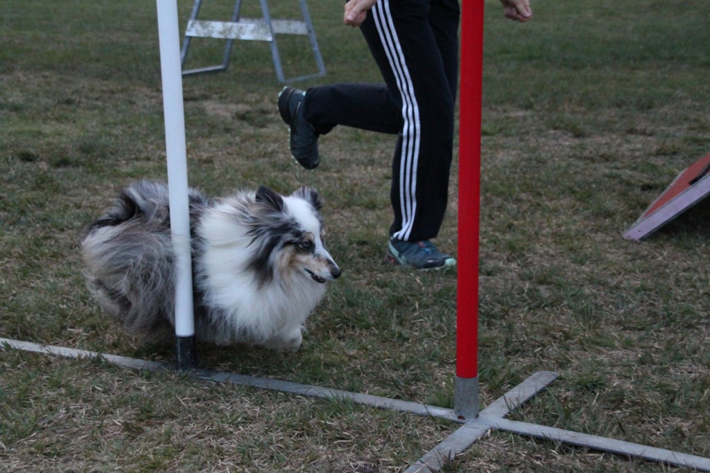 souvenirs-2014 JPG (315)