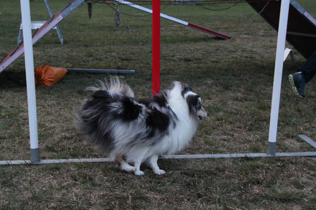 souvenirs-2014 JPG (316)