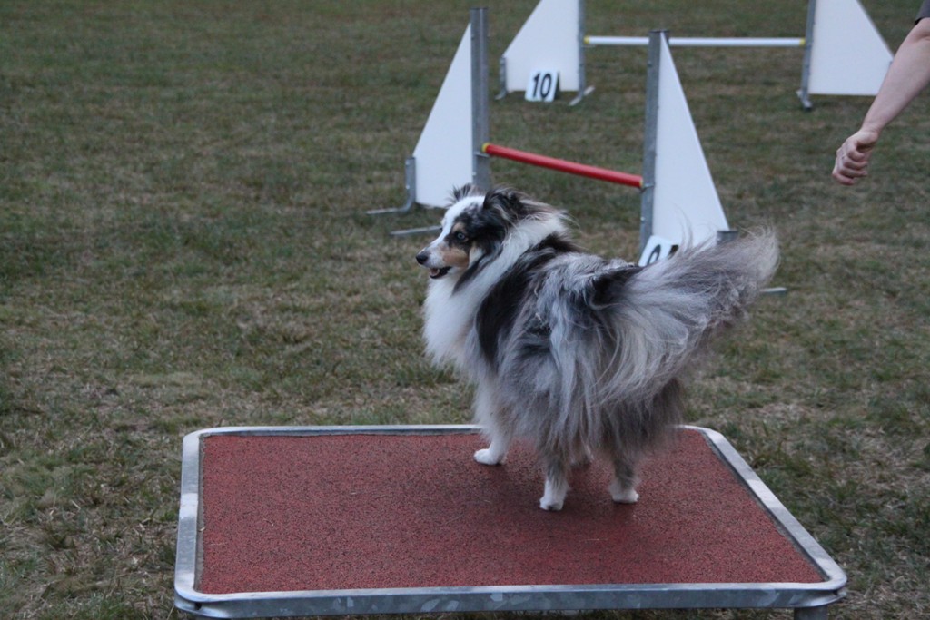 souvenirs-2014 JPG (318)