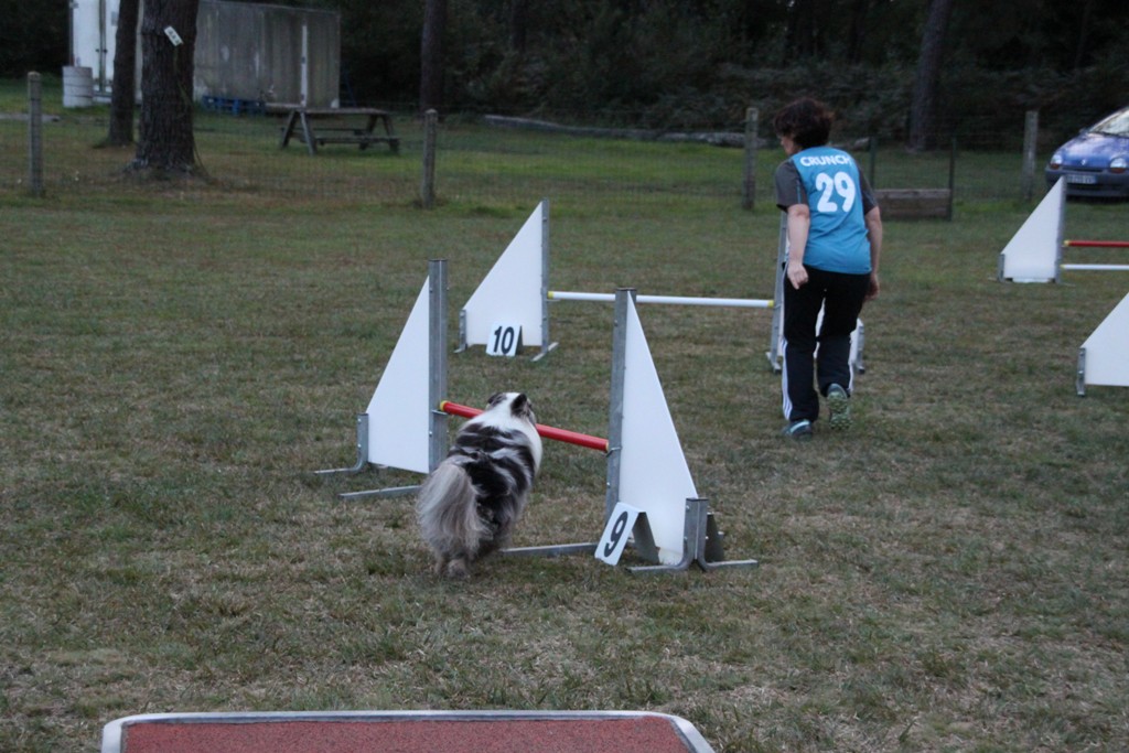 souvenirs-2014 JPG (319)