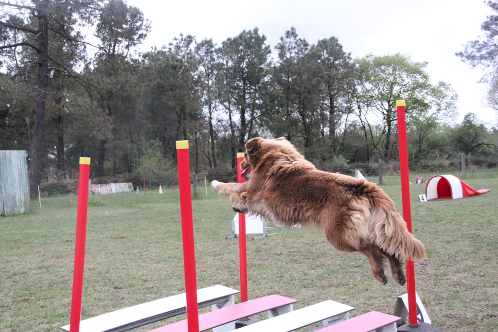 souvenirs-2014 JPG (32)