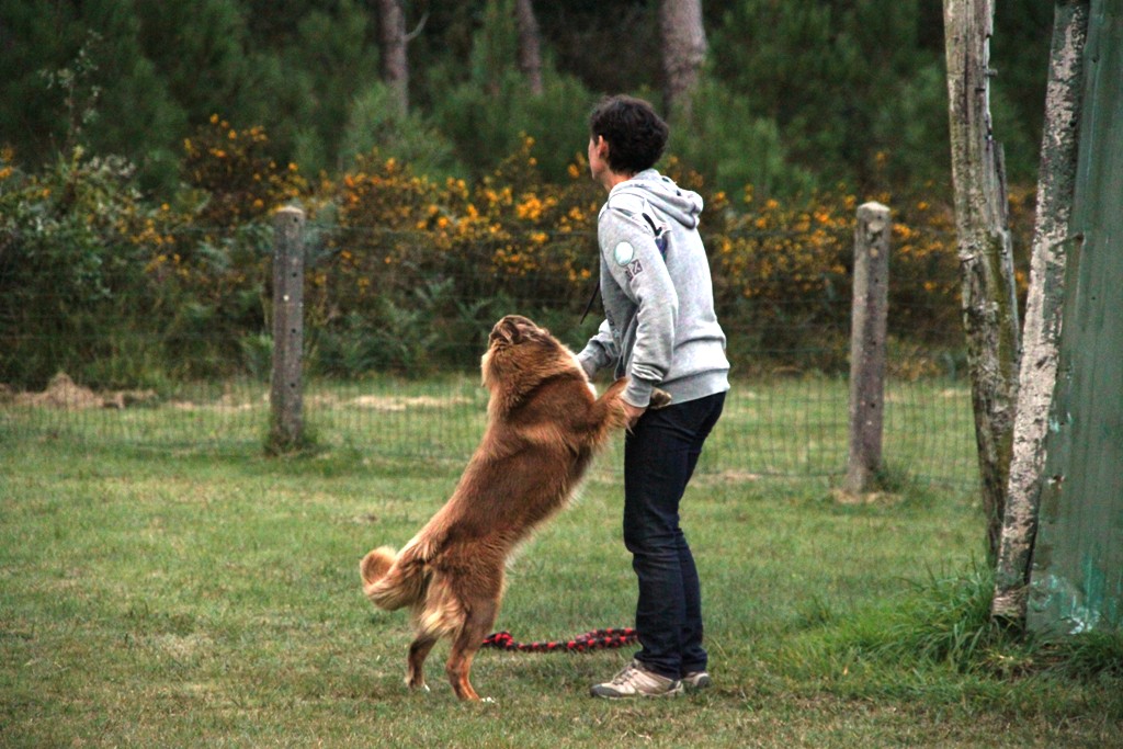 souvenirs-2014 JPG (328)