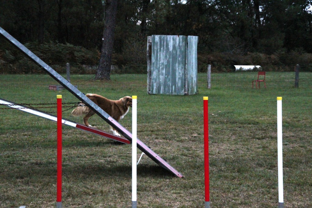 souvenirs-2014 JPG (334)