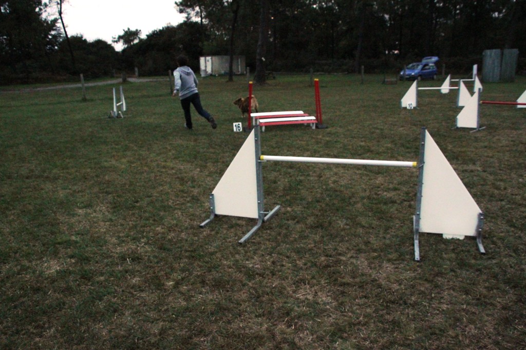 souvenirs-2014 JPG (335)