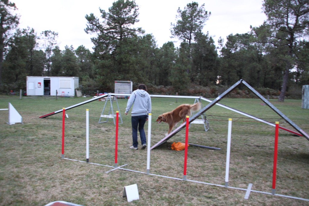 souvenirs-2014 JPG (336)